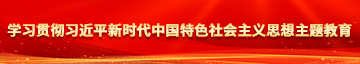 操馒头B学习贯彻习近平新时代中国特色社会主义思想主题教育